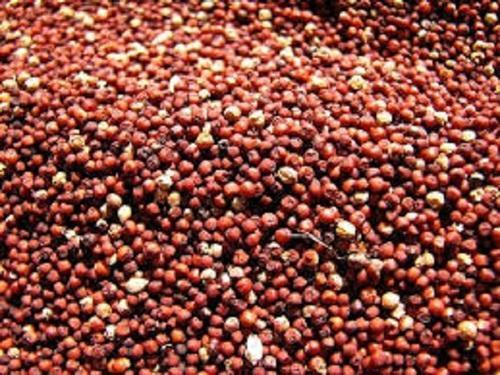 Red Millet - Size: 1-2 mm, Color: Red | Organic, Nutrient Enriched, Protein-Rich, Preservative-Free, Pesticide-Free, Sun-Dried