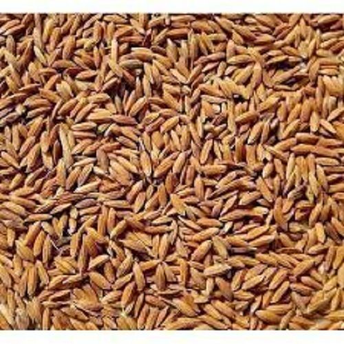 Rich Protein Vitamin And Carbohydrate Premium Quality Long Grain Paddy Rice