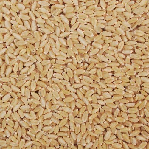 A Grade Brown Color 15 Percent Moisture Pure And Fresh Wheat Grain