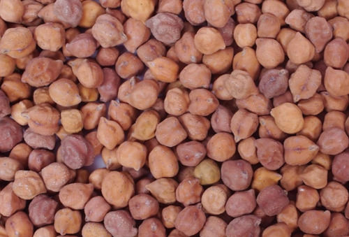 Commonly Cultivated Food Grade Dried Desi Chana With Rich In Carbohydrate And Fiber