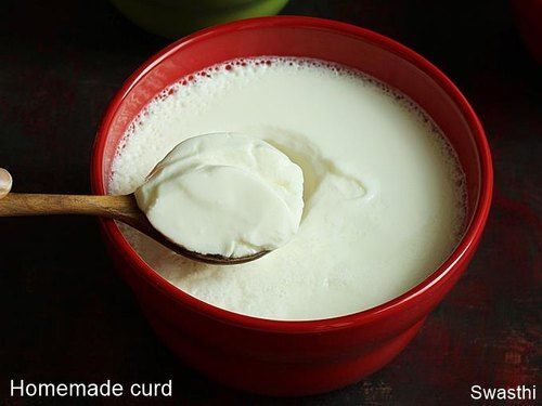 Healthy And Nutritious Rich In Potassium Fresh Hygienically Packed White Thick Curd