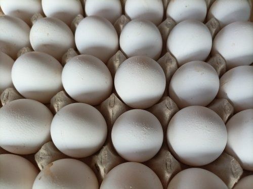 Healthy Highly Nutritious And Low In Calories White Fresh Poultry Egg