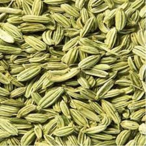 Seeds In Daman, Seeds Dealers & Traders In Daman