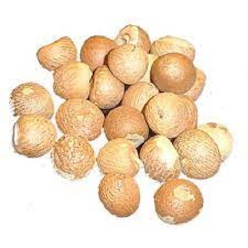 Good Source Of Fats And Proteins Healthy Natural Brown Round Betel Nuts