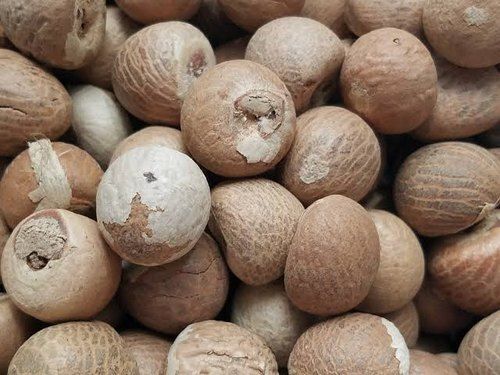 Common Good Source Of Proteins And Fats Natural Healthy Brown Round Betel Nuts