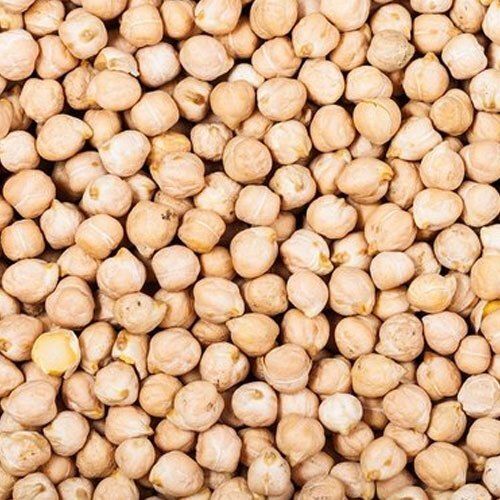 High Fibre Content Nutty And Free Of Pesticides Vegetarian Food Kabuli Chana  Admixture (%): 13