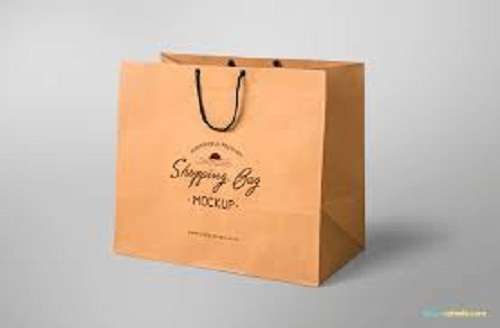 Light Weight Reusable Easy To Carry And Biodegrade Printing Shopping Bags - Kraft Paper, Custom Size, Brown | Biodegradable, Embossed, Flexiloop/Patch/Hand Handles, 500g Load
