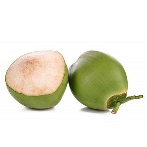 Naturally Grown Healthy Vitamins And Minerals Rich Solid Green Tender Coconut