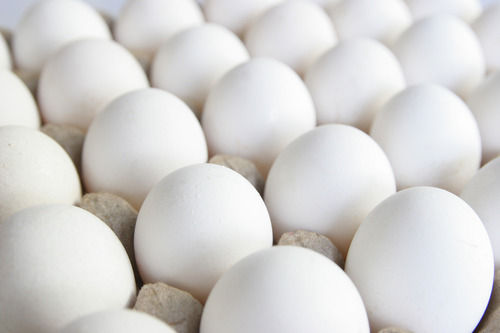 Healthy Fresh And Natural Good Source Of Proteins And Fats White Eggs