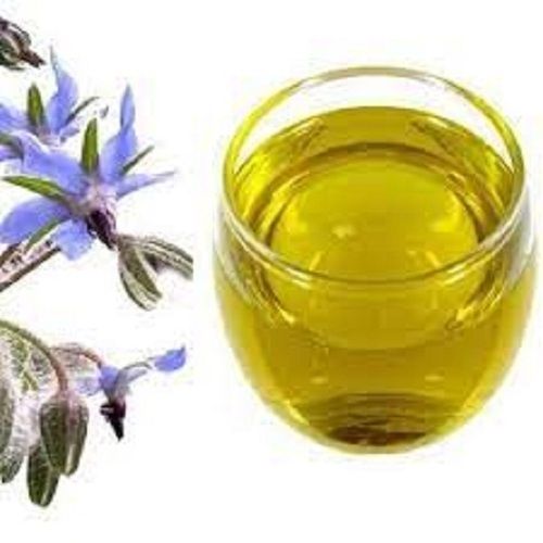 Common Healthy Vitamins And Minerals Enriched Indian Origin Aromatic And Flavourful Yellow Pure Borage Oil