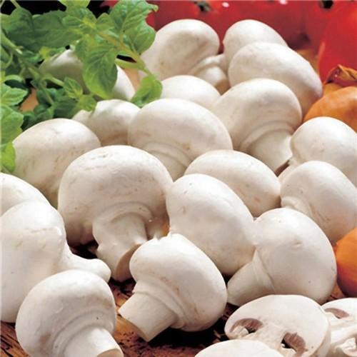 White Mushrooms