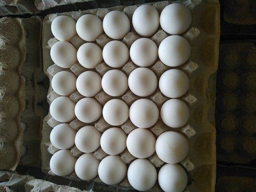 Paper Eco Friendly Recyclable Lightweight Reusable White Poultry Eggs Tray 