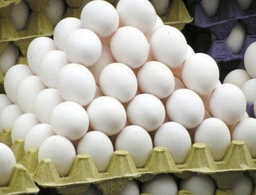 Fresh Nutrients Enriched Healthy High In Protien And Vitamins White Eggs