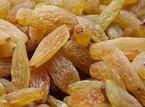No Artificial Colors Chemical Free Highly Nutritious Sweet Golden Dried Raisins
