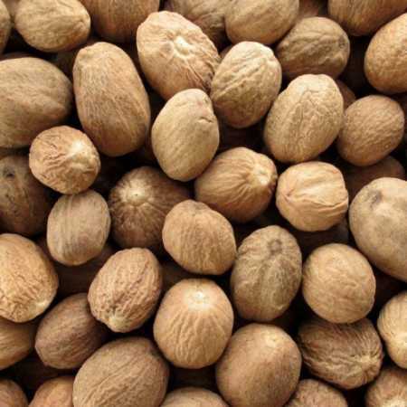 Wholesale Price Export Quality Dried Kerala Whole Nutmeg for Spices