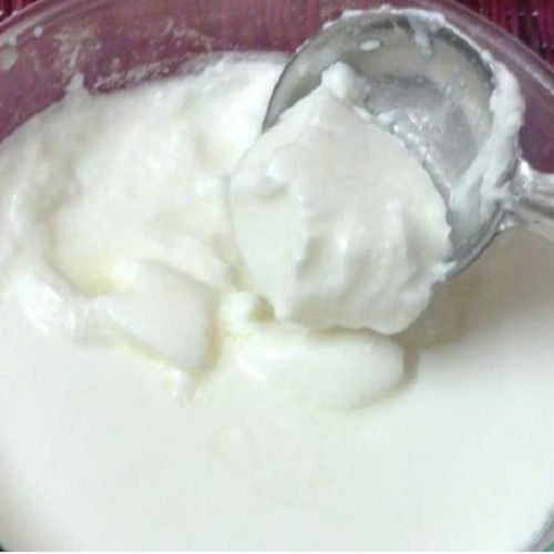 Healthy And Natural Taste No Additional Preservatives White Fresh Curd
