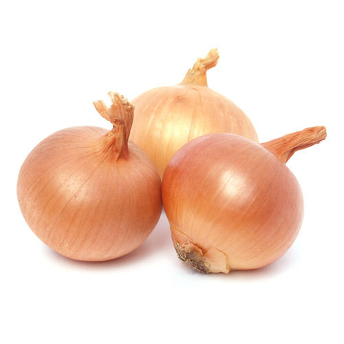 Naturally Grown Nutrients Enriched Round Shape Indian Origin Brown Onion