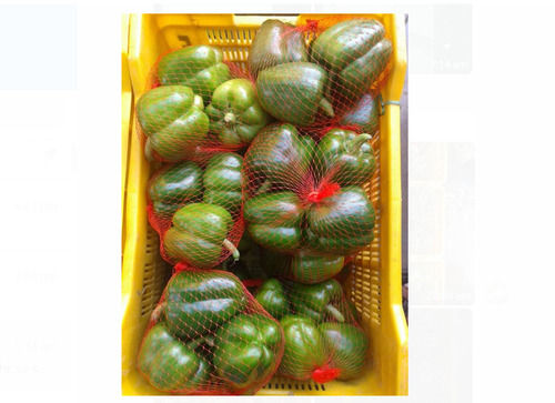 4 Days Shelf Life 43.19% Moisture Fresh Green Capsicum Vegetable 