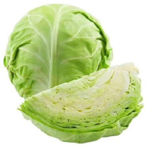 Round Shaped Fresh And Natural Seasoned Light Green Cabbage Vegetable 