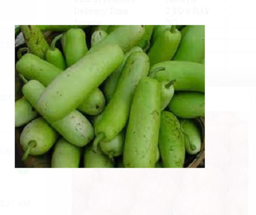 2.47 % Moisture Green Color Long And Cylindrical Shape 0.6 Gram Protein Fresh Bottle Gourd  Moisture (%): 2.47%