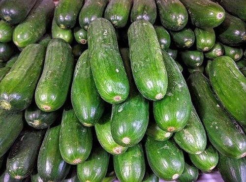 Fresh Healthy Cucumber With Nutritious Vitamins And Potassium