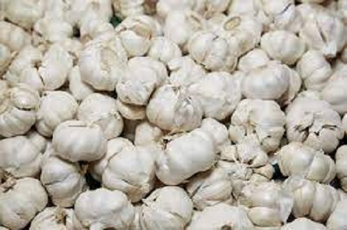 Good Source Of Vitamins And Potassium Fresh White Garlic