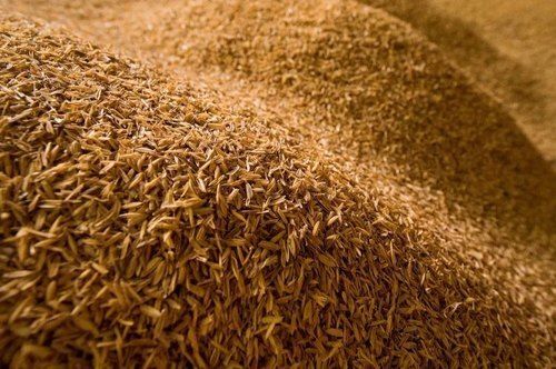 Natural And Hygienically Processed Paddy Grains Rice Husk For Cattle Feed