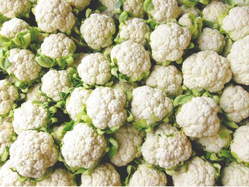 Round Shaped 1.9 Gram Protein 0.3 Gram Total Fat 100% White Color Organic Cauliflower