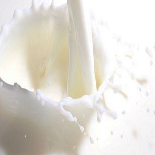 Healthy And Tasty Natural Full Cream Adulteration Free White Cow Milk