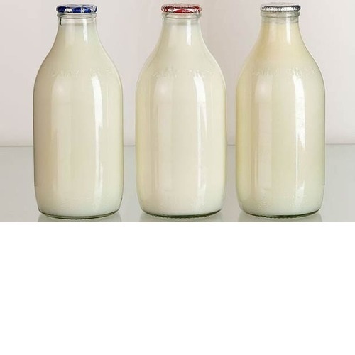 Fresh Raw White Cow Milk - Natural, Nutrient-Packed Formula | Rich in Proteins, Vitamins A, B12, D & Calcium for All Ages
