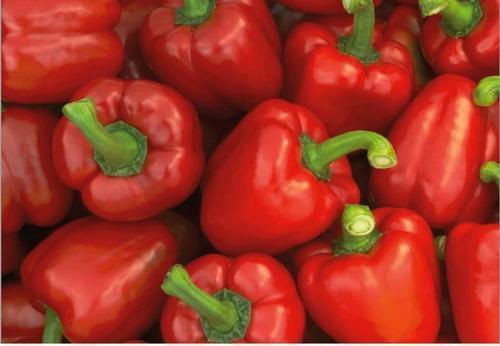 99% Moisture Content Reduced Inflammation Farm Fresh Red Capsicum Moisture (%): 99