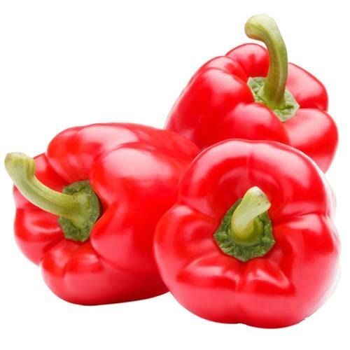 99% Moisture Highly Nutritious Excellent Source Of Vitamins And Potassium Raw Processing Fresh Capsicum For Cooking