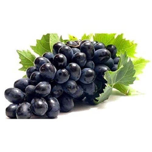 Antioxidant Fresh Chemical Free Rich In Fiber And Vitamins Sweet Tasty Black Grapes