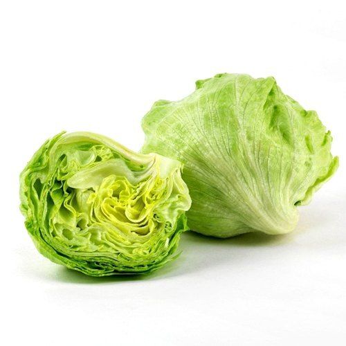 Fresh Green Lettuce Iceberg