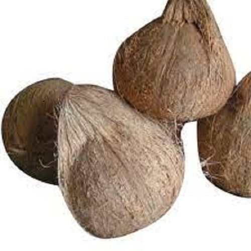 White Good For Health Pesticide Free Rich Taste Rich In Vitamin C Fresh Semi Coconuts 