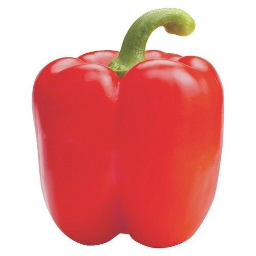 Highly Nutritious Naturally Grown Excellent Fresh Red Capsicum