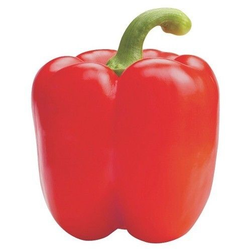 Highly Nutritious Naturally Grown Excellent Fresh Red Capsicum Moisture (%): 10%