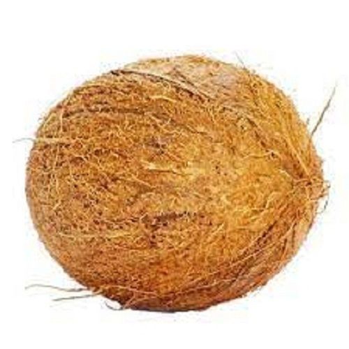 Naturally Grown A Grade Healthy 100% Pure Farm Fresh Brown Coconut 