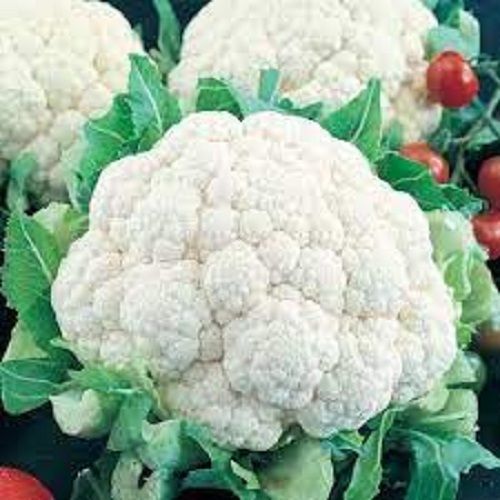  Good Source Of Proteins Fresh And Healthy Organic Premium Grade Cauliflower  Shelf Life: 2 Week