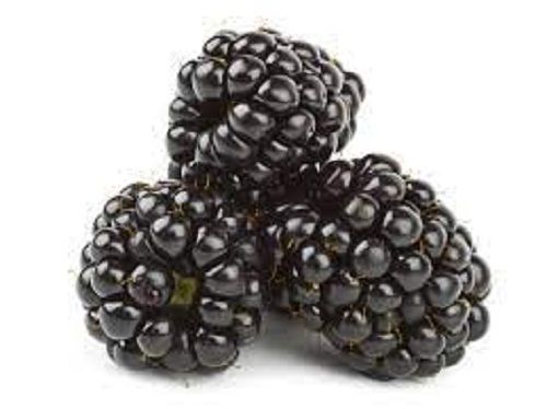 100% Pure Organic Rich Vitamins And Fresh Sweet Blackberry Frozen Fruit
