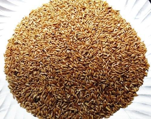 Brown Medium Grain Dried 100% Pure Indian Origin Common Cultivation Bamboo Rice