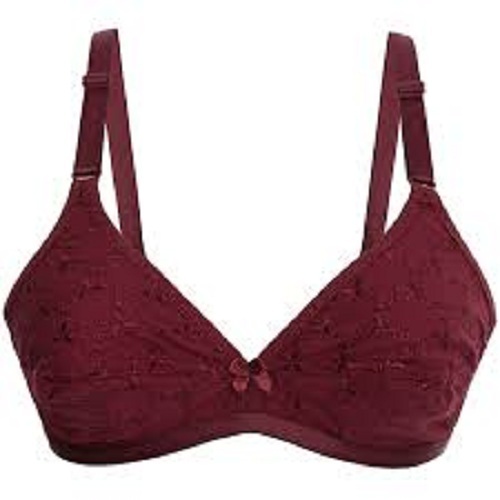 https://tiimg.tistatic.com/fp/1/007/857/daily-wear-skin-friendly-snug-fit-plain-cotton-padded-bra-for-ladies-096.jpg