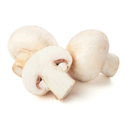 Fresh Natural Organic White Mushroom, Rich Source Of Fiber And Protein