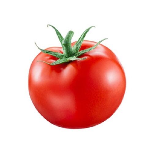 Natural Healthy And Organic Hybrid Fresh Premium Grade Tomato For Cooking  Shelf Life: 2 Week