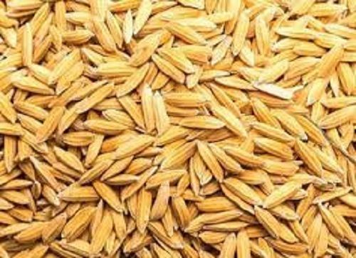 Organically Cultivated Indian Origin Healthy Nutrients 98% Pure Paddy Rice