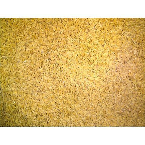 100% Pure Healthy Natural Indian Origin Aromatic And High Protein Yellow Paddy Rice