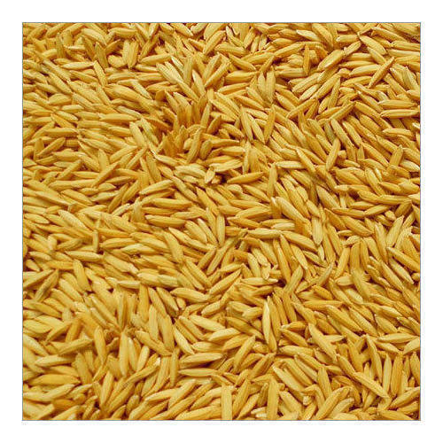 Brown Natural Healthy Naturally Grown Paddy Rice 