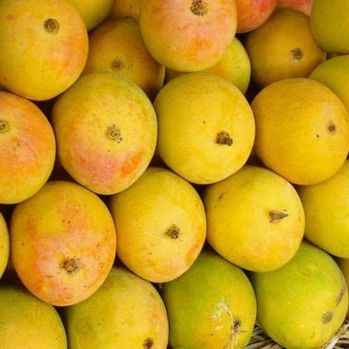 1 Kg Yummy And Delicious Yellow Sweet Taste Mangoes