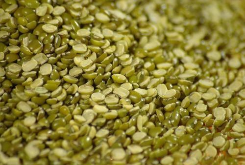 A Grade Organically Cultivated Healthy 99% Pure Dried Splited Moong Dal 