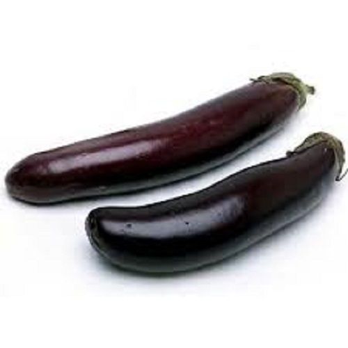 Naturally Grown Healthy Organic Great Taste Fresh Slender Shape Brinjal Moisture (%): 80%